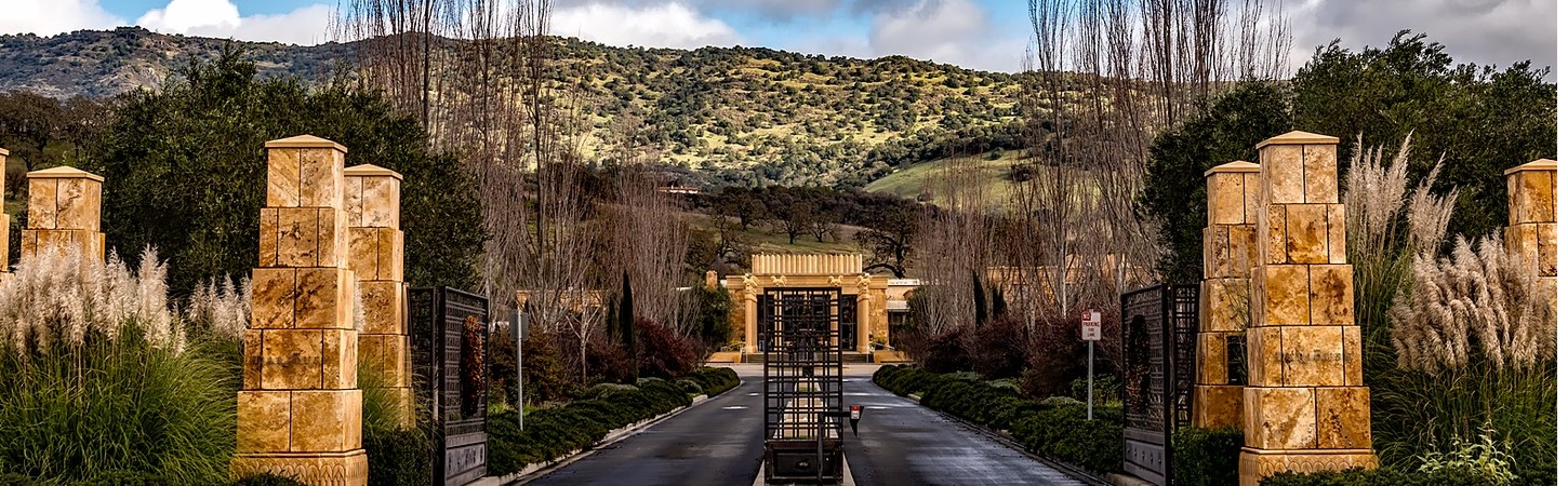 Weinregionen dieser Welt