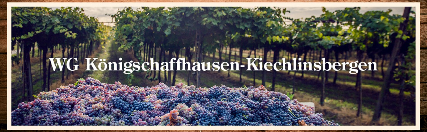 Winzergenossenschaft Königschaffhausen