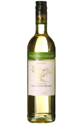 Sauvignon Blanc Südafrika